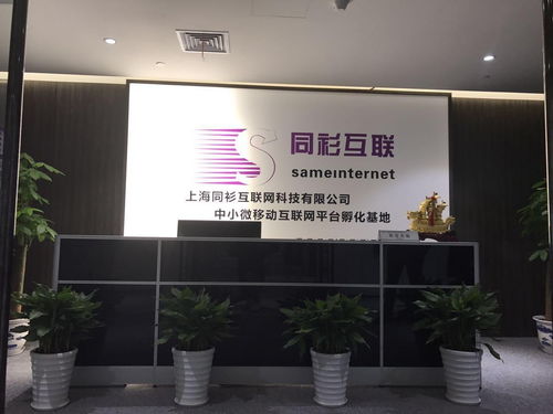 科技雙城記 上海同衫與湛江網(wǎng)絡(luò)的創(chuàng)新交響