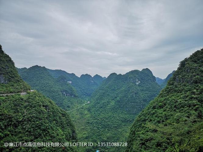 河池春色滿園，湛江網安共筑——兩地并蒂綻放的時代新章